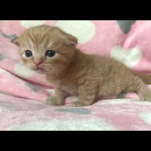 Meet your Posher, Melinda